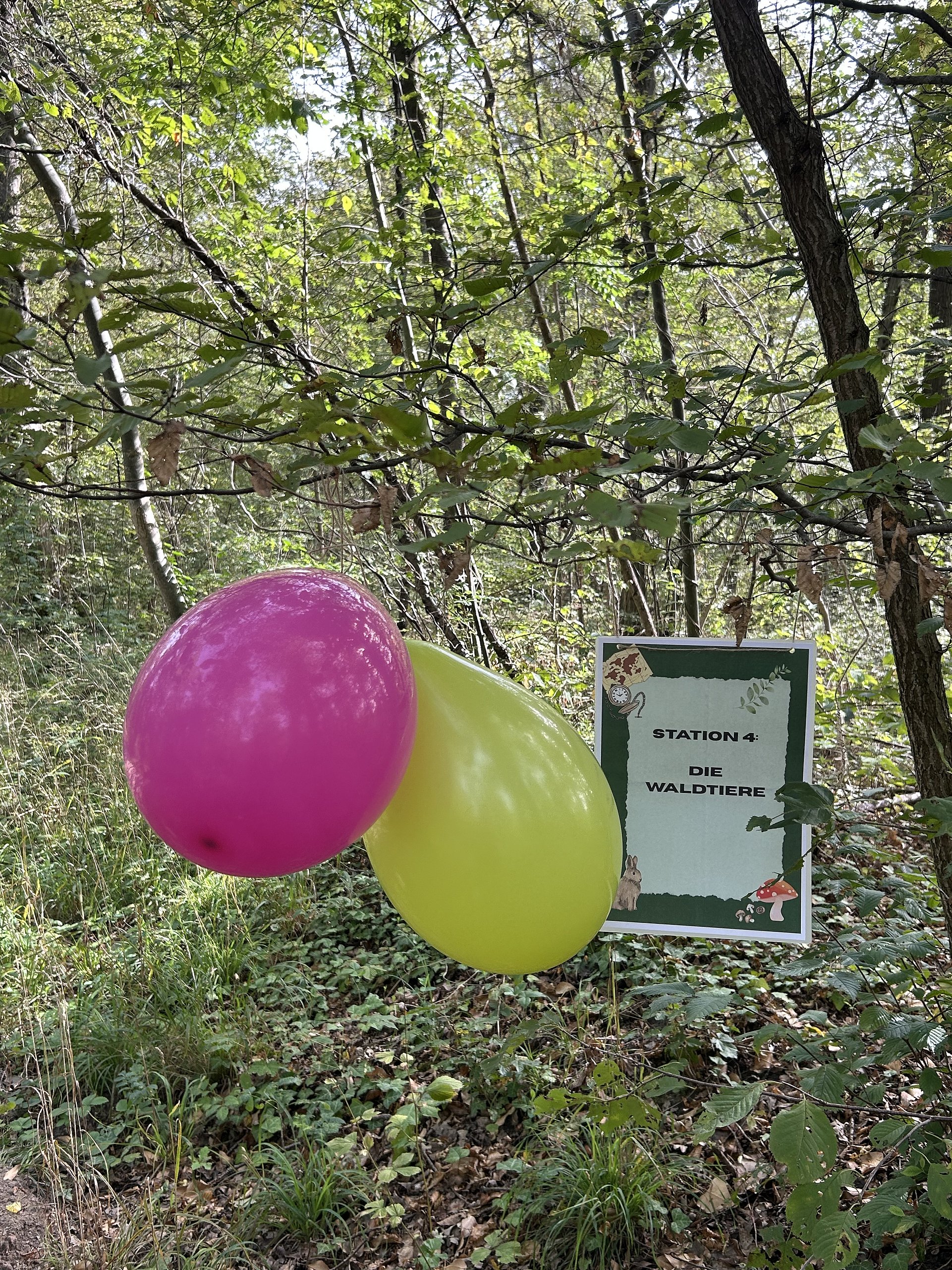 Auf dem Foto ist ein Waldrand zu sehen, mit dichtem Grün, Gräsern und Büschen im Vordergrund und Bäumen mit vielen Blättern im Hintergrund. Vor dem Grün hängen zwei große Luftballons, links ein pinkfarbener und rechts ein gelbgrüner. Rechts neben den Ballons ist ein laminiertes Schild an einem Ast befestigt. Es hat einen hellblauen Hintergrund mit einem dekorativen grünen Rahmen und unten eine kleine Illustration eines roten Pilzes mit weißem Punktmuster und eines Hasen. Oben auf dem Schild ist eine Illustration einer Schatzkarte und eines Kompasses angebracht. In der Mitte des Schildes steht „STATION 4: DIE WALDTIERE“.  