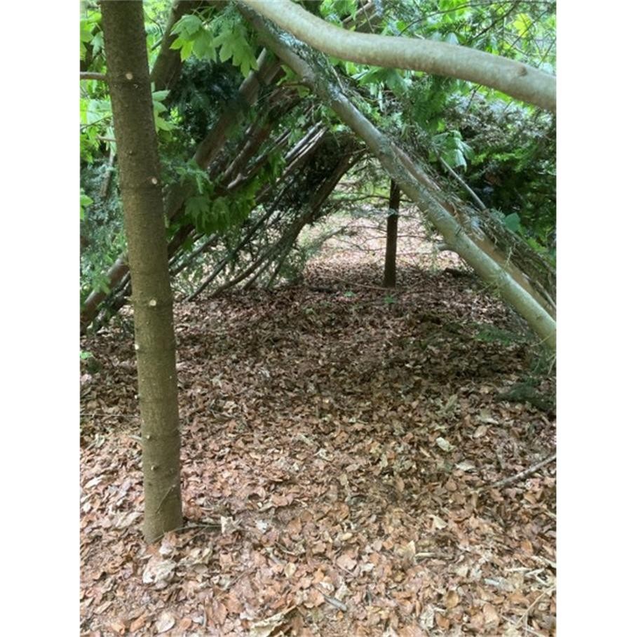 Eine selbst gebaute Hütte im Wald aus Zweigen, Ästen und Blätter